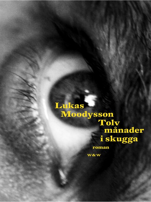 Titeldetaljer för Tolv månader i skugga av Lukas Moodysson - Tillgänglig